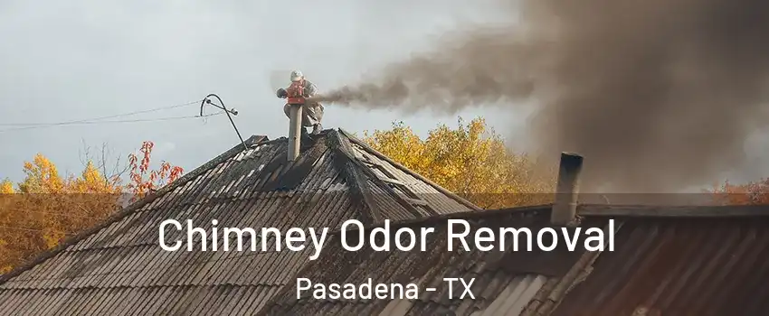 Chimney Odor Removal Pasadena - TX