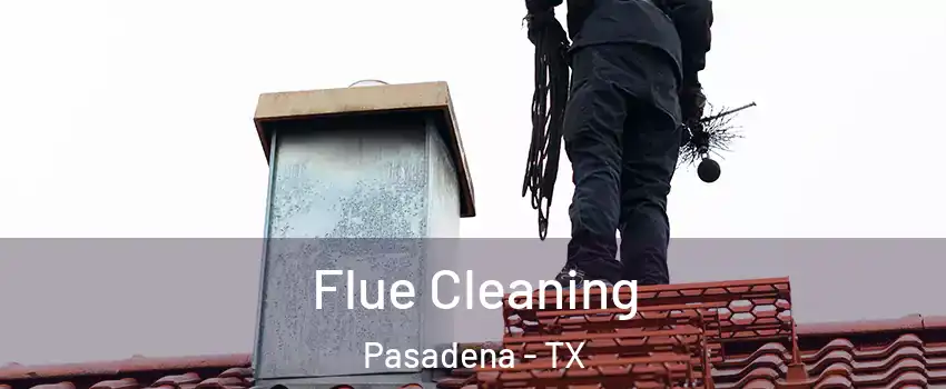 Flue Cleaning Pasadena - TX