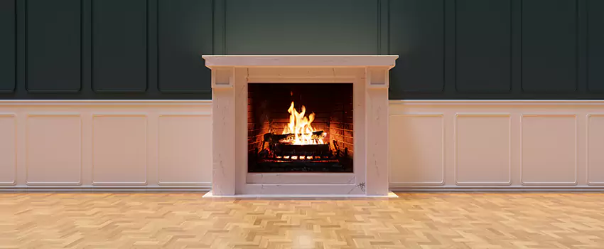 Napoleon Electric Fireplaces Inspection Service in Pasadena, Texas