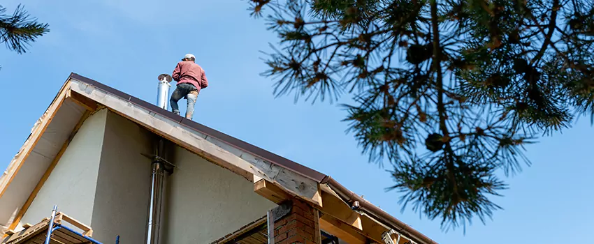 Birds Removal Contractors from Chimney in Pasadena, TX